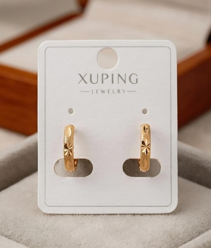 ARETES DELICATE BM900