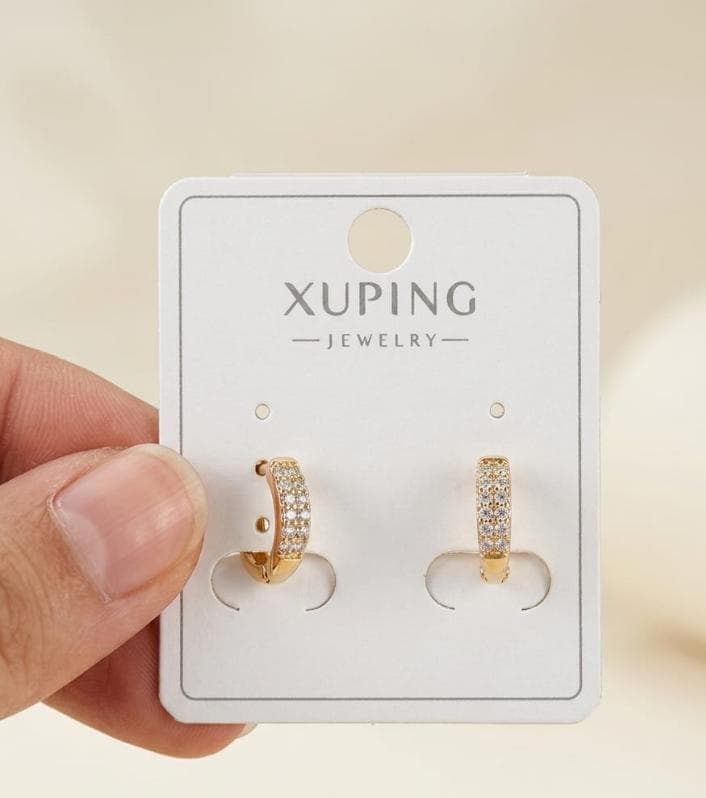 ARETE MARCA XUPING BM1000
